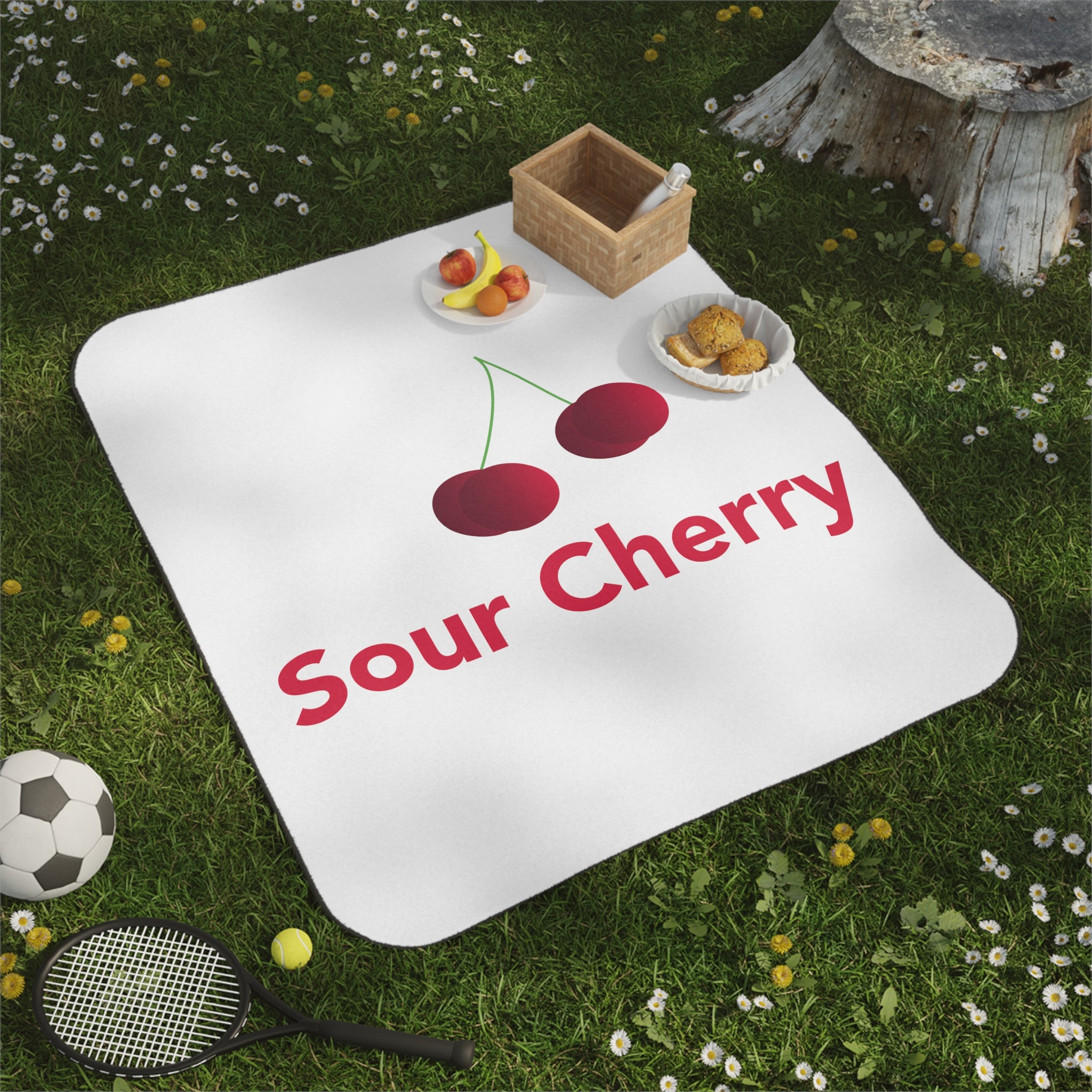Picnic Blanket - Sour Cherry