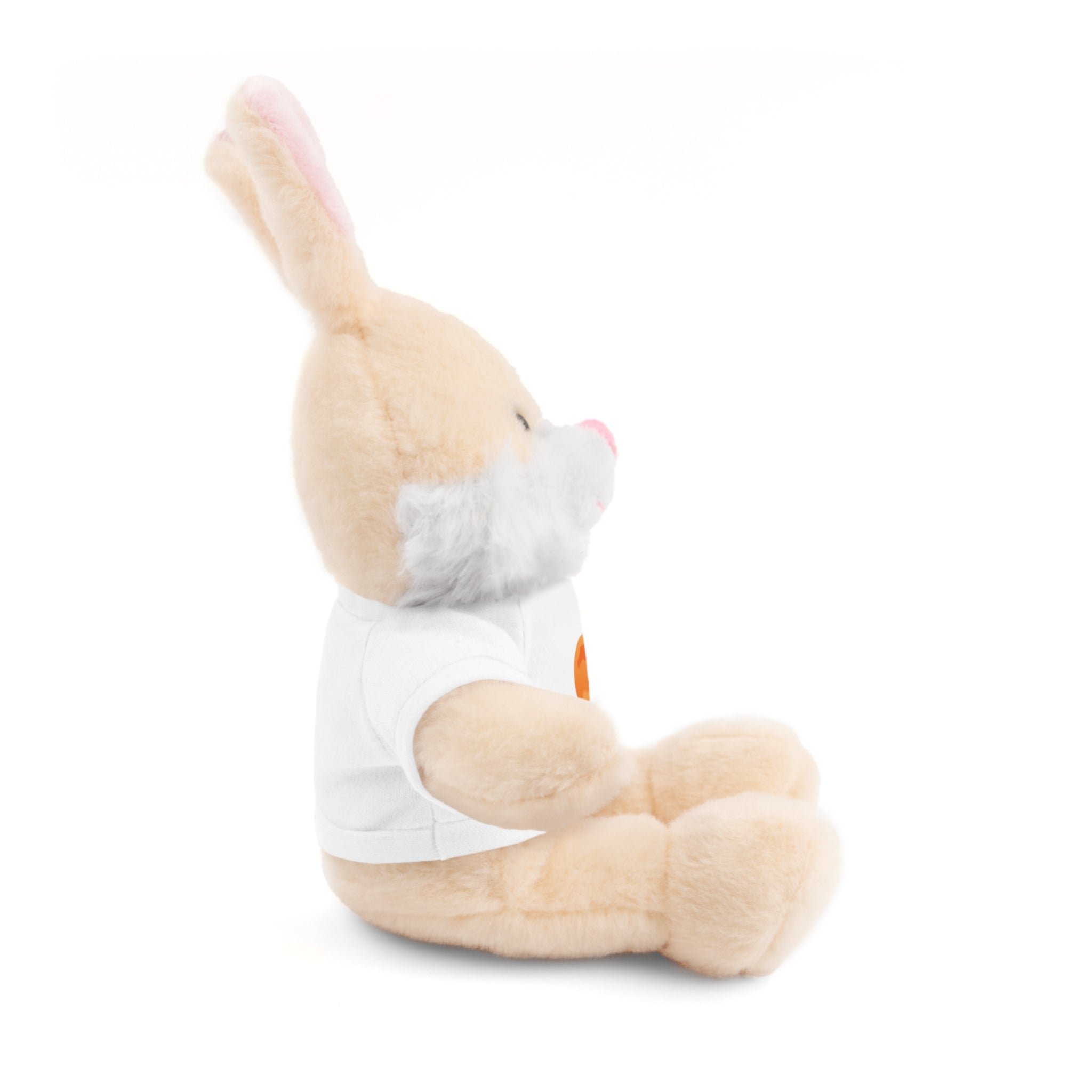 Stuffed Animals with Tee - Tangie