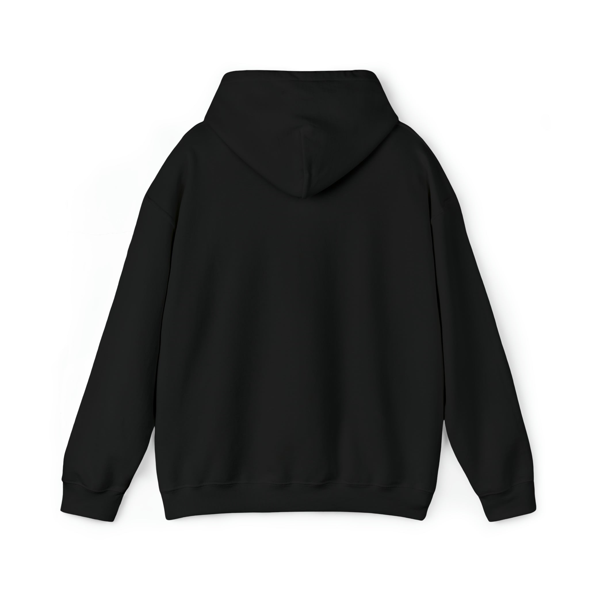 Unisex Hooded Sweatshirt - LIVE