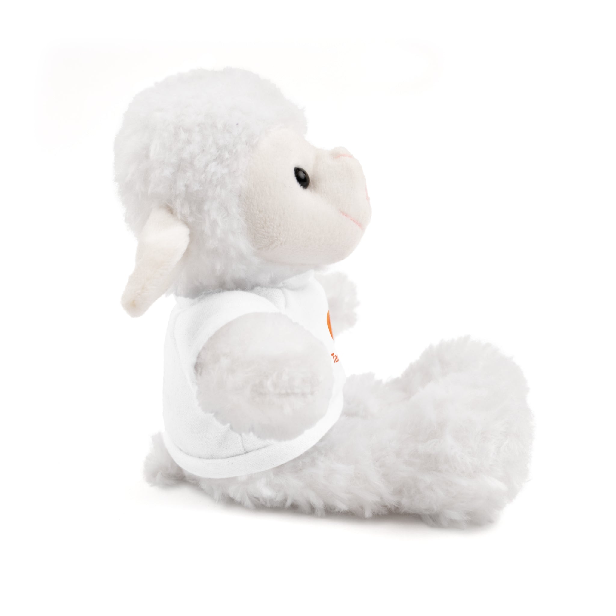 Stuffed Animals with Tee - Tangie
