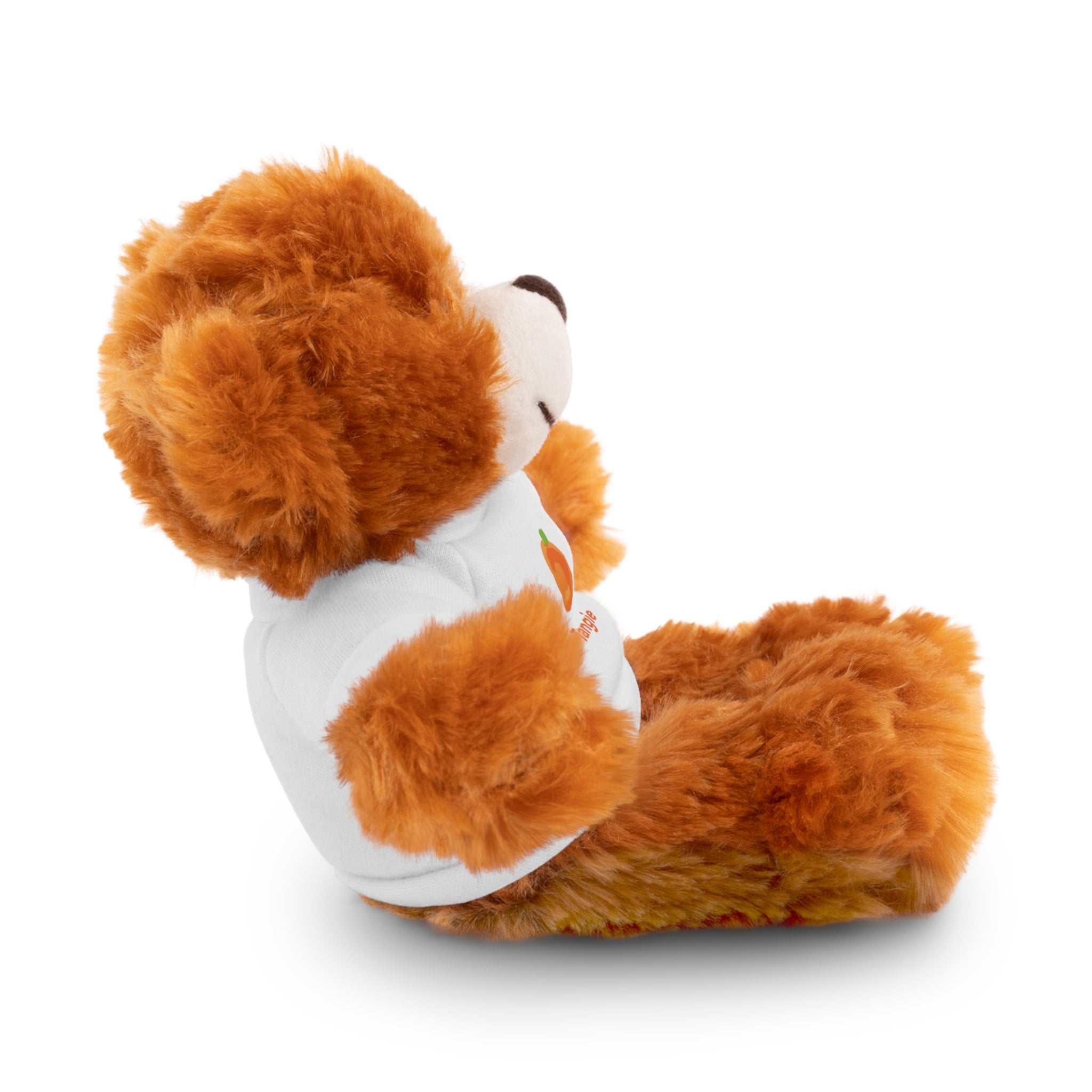 Stuffed Animals with Tee - Tangie