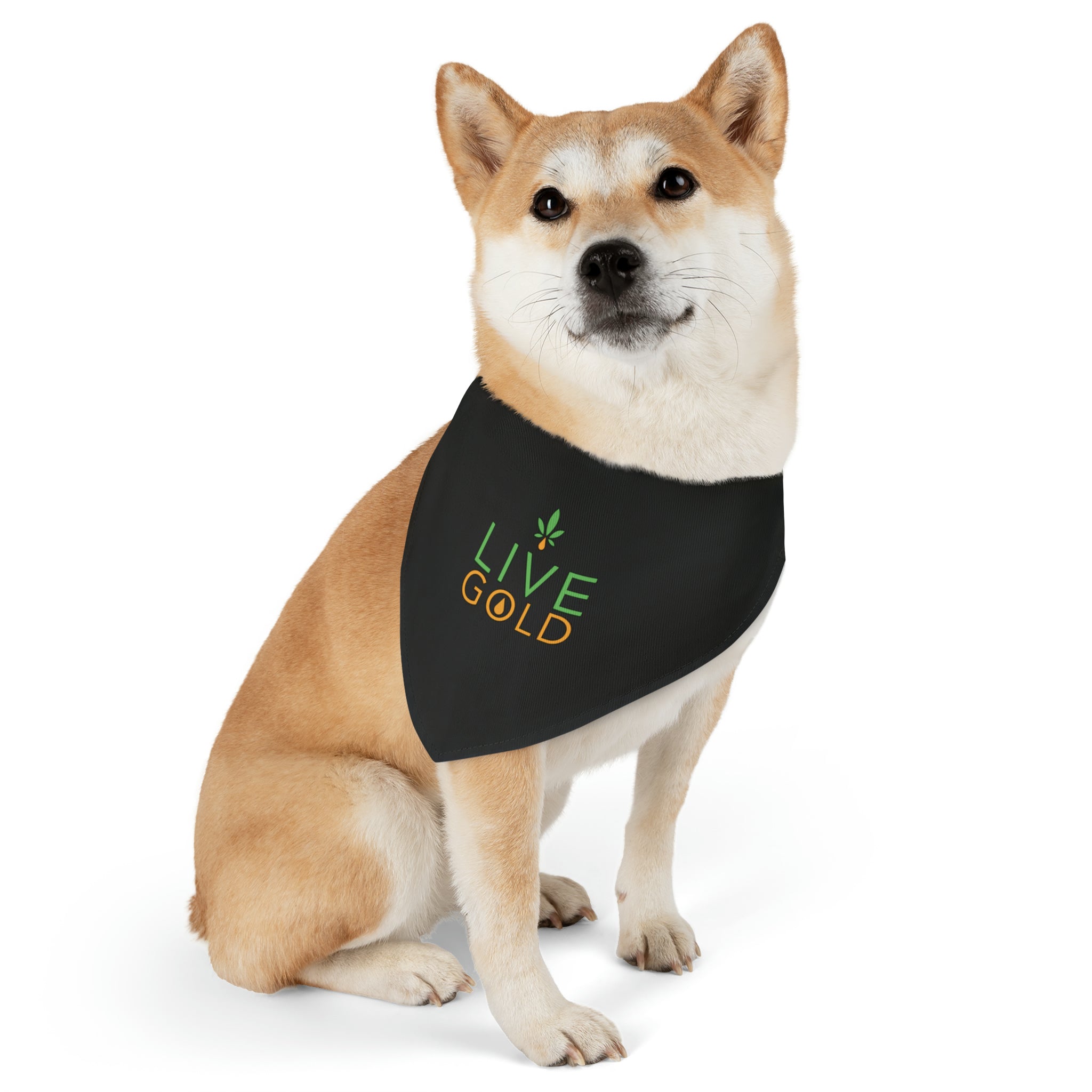 Pet Bandana Collar - GOLD (Black)