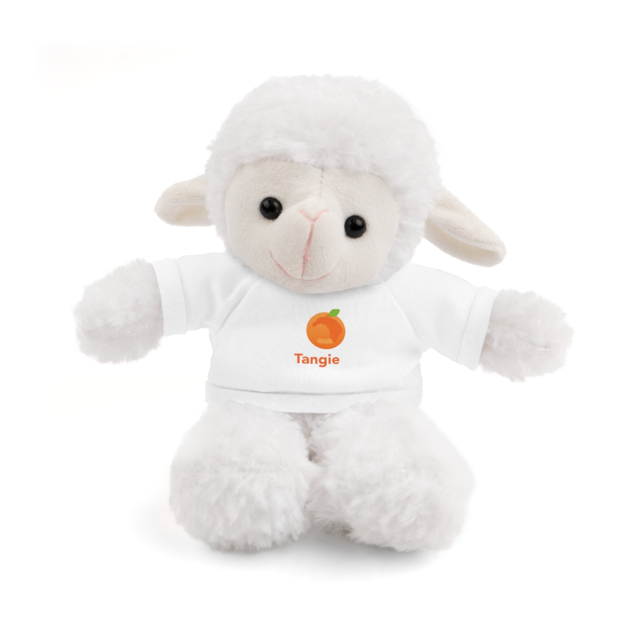 Stuffed Animals with Tee - Tangie