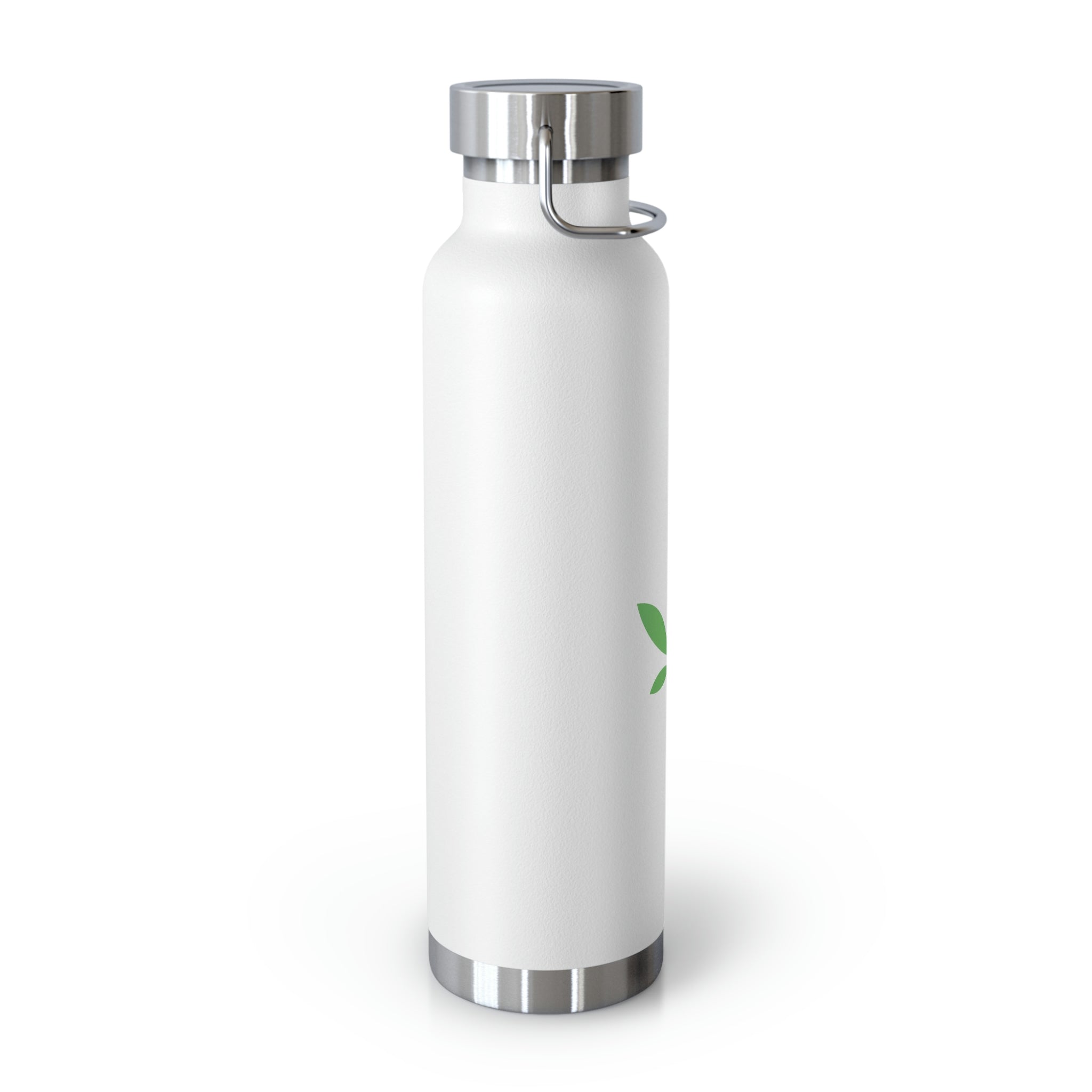 Copper Vacuum Insulated Bottle, 22oz - LIVE