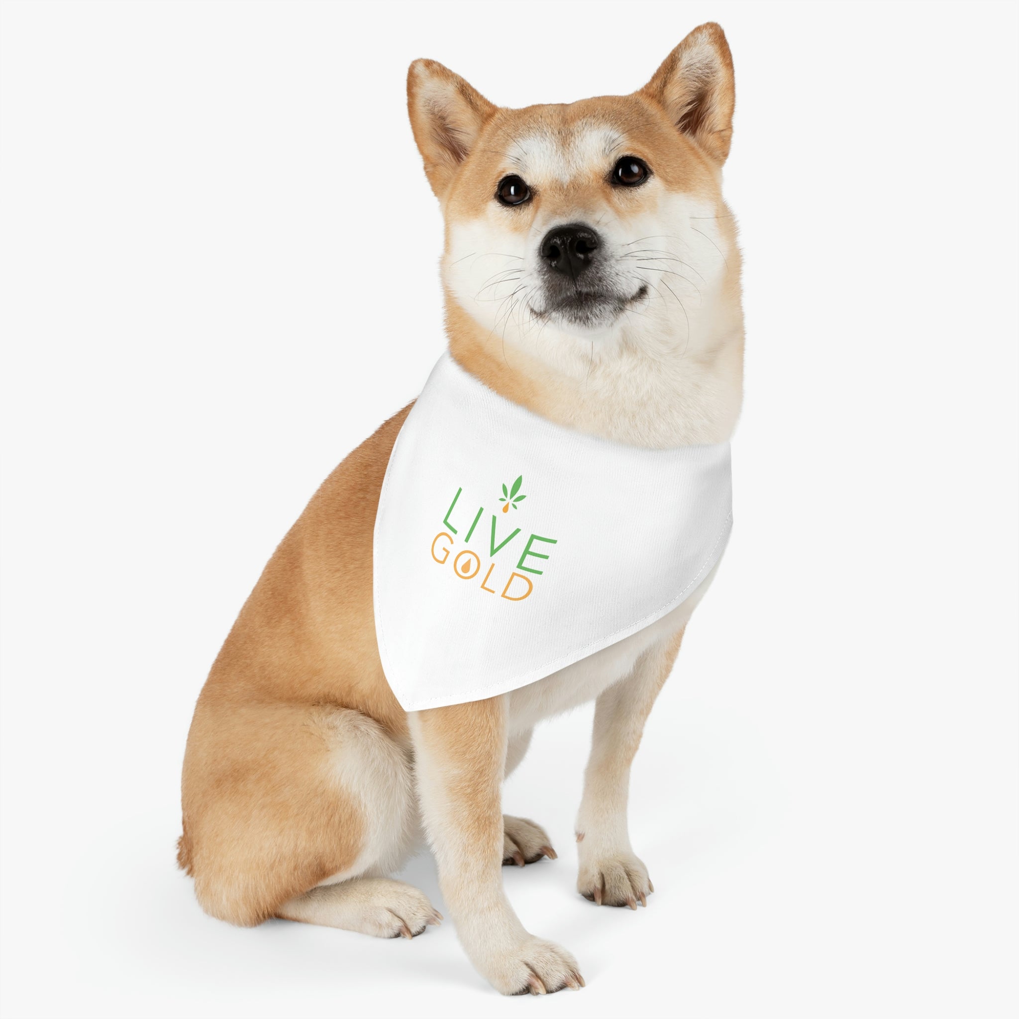 Pet Bandana Collar - GOLD (White)